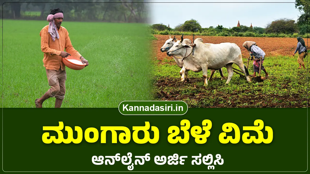 Crop Insurance 2025